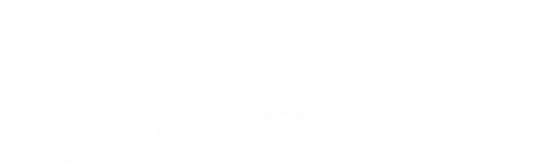 Grupo Scapini